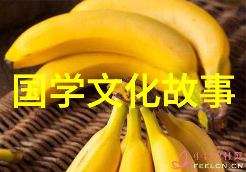 管窥蠡测